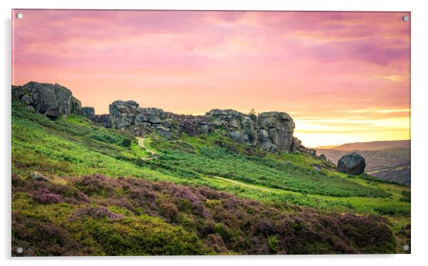 Cow and Calf Red Sky Panorama Acrylic by Paul Grubb