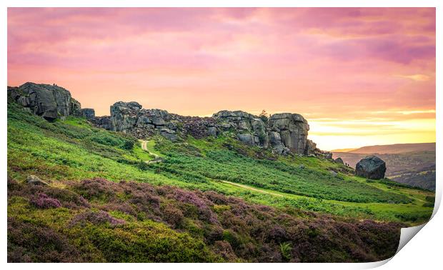 Cow and Calf Red Sky Panorama Print by Paul Grubb
