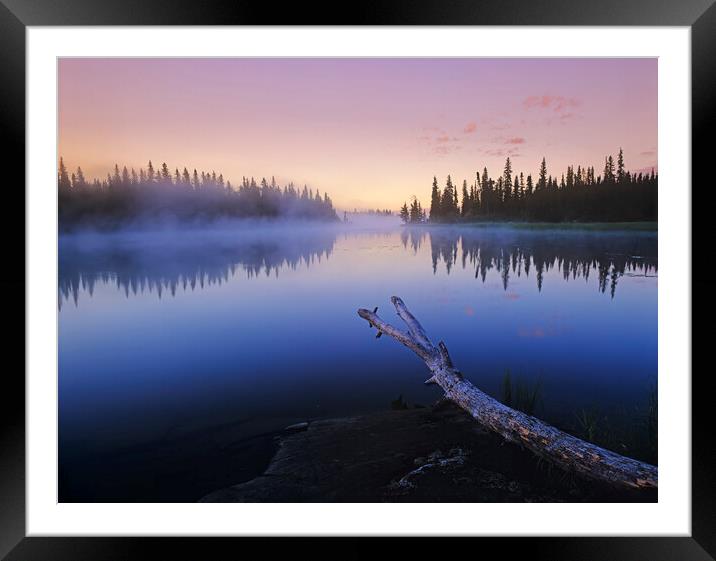 along the Grass River Framed Mounted Print by Dave Reede