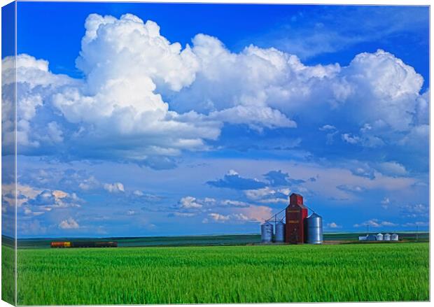 abandoned grain elevator and cumulonimbus clouds Canvas Print by Dave Reede
