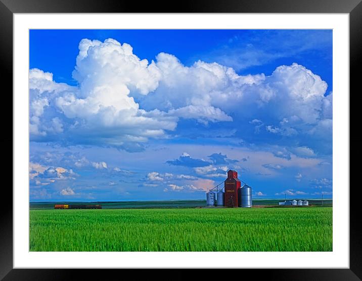 abandoned grain elevator and cumulonimbus clouds Framed Mounted Print by Dave Reede