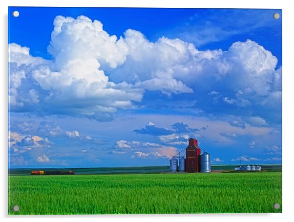abandoned grain elevator and cumulonimbus clouds Acrylic by Dave Reede