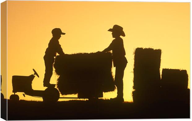 Helping Out On the Farm Canvas Print by Dave Reede