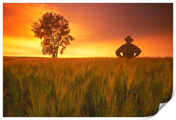 a farmer looks out over his  barley crop with cottonwood tree in the background Print by Dave Reede