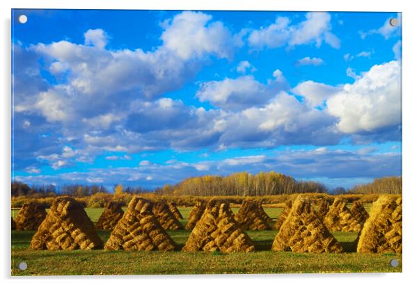 hay bales Acrylic by Dave Reede