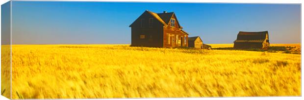 abandoned farm house, wind-blown  durum wheat fiel Canvas Print by Dave Reede