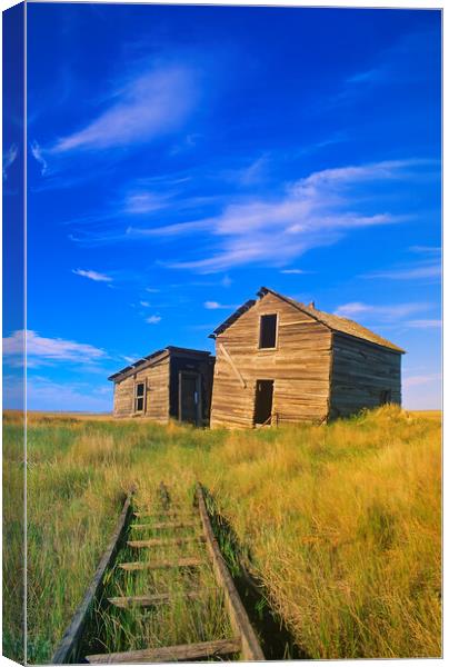 abandoned farm house Canvas Print by Dave Reede