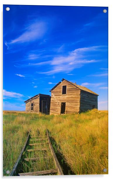 abandoned farm house Acrylic by Dave Reede