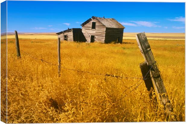 abandoned farm house Canvas Print by Dave Reede