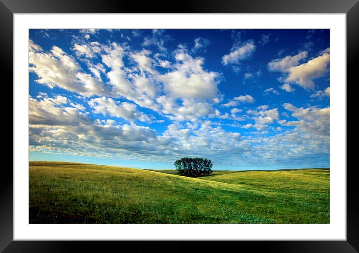 Prairie Sky Framed Mounted Print by Dave Reede
