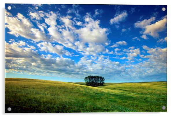 Prairie Sky Acrylic by Dave Reede