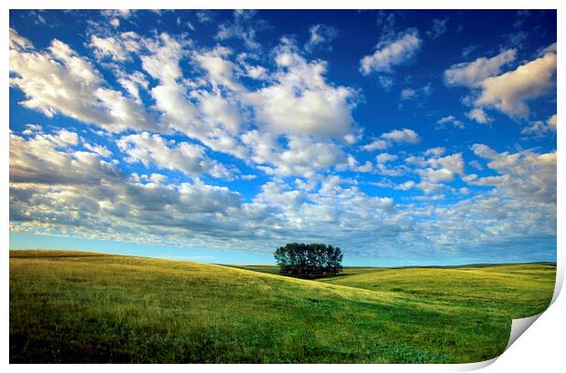 Prairie Sky Print by Dave Reede