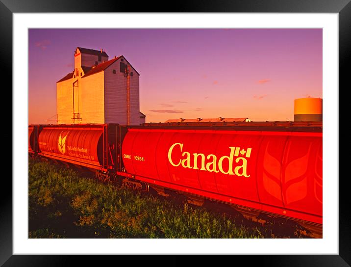 gain hopper rail cars Framed Mounted Print by Dave Reede