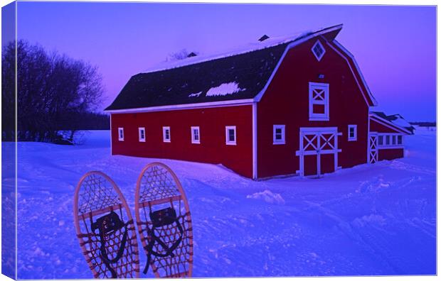 Snowshoes in Front of red barn Canvas Print by Dave Reede