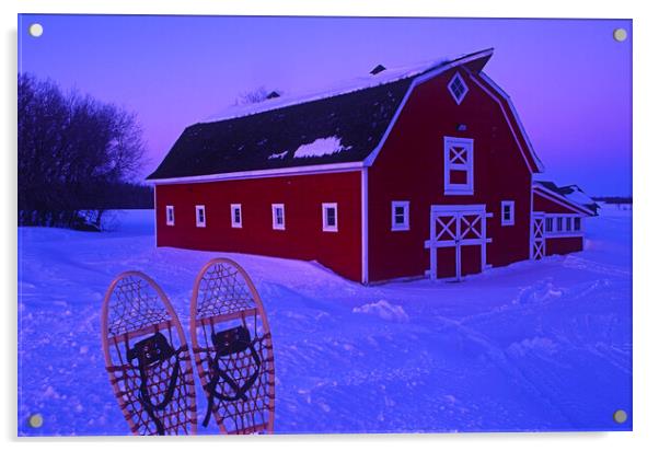 Snowshoes in Front of red barn Acrylic by Dave Reede