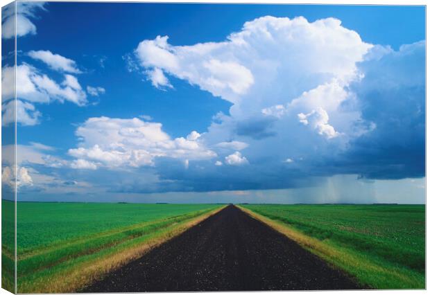 road through farmland with cumulonimbus cloud mass in the background Canvas Print by Dave Reede