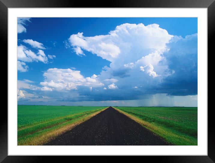 road through farmland with cumulonimbus cloud mass in the background Framed Mounted Print by Dave Reede