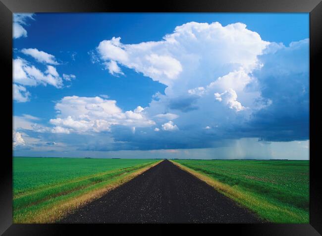 road through farmland with cumulonimbus cloud mass in the background Framed Print by Dave Reede