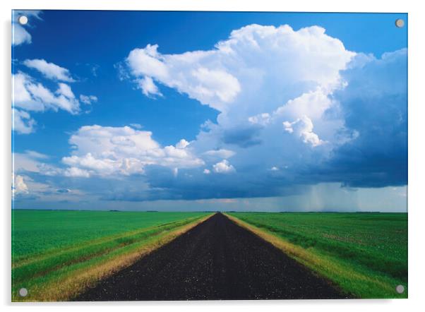 road through farmland with cumulonimbus cloud mass in the background Acrylic by Dave Reede