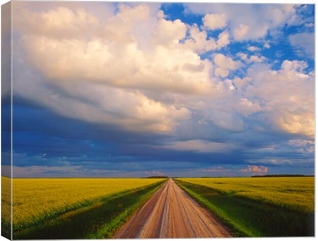 Country Backroad Canvas Print by Dave Reede