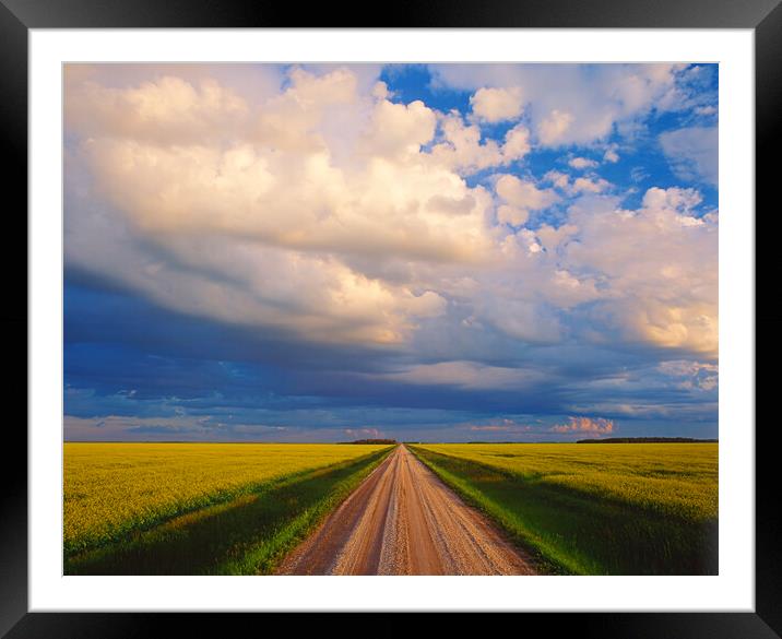 Country Backroad Framed Mounted Print by Dave Reede