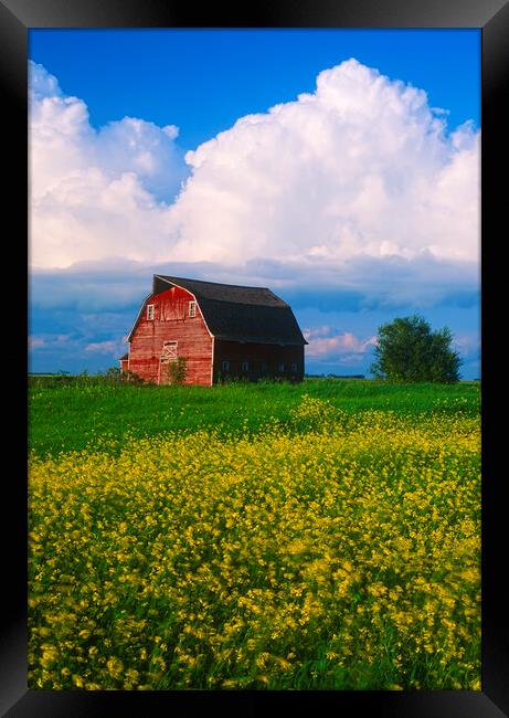 field with old red barn in the background Framed Print by Dave Reede