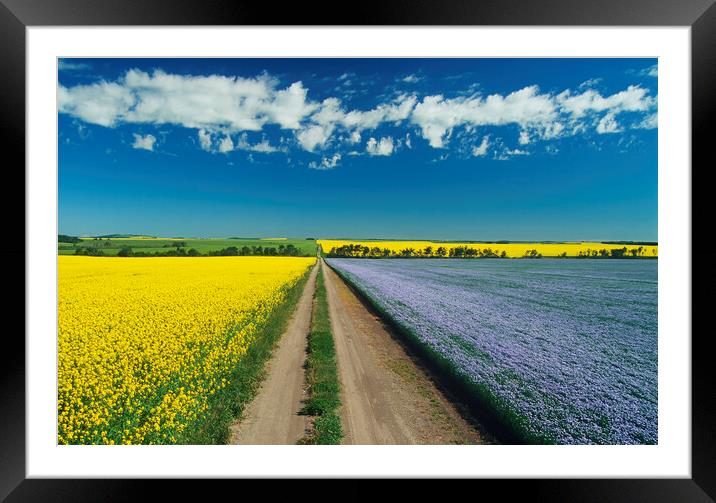 road through farmland Framed Mounted Print by Dave Reede