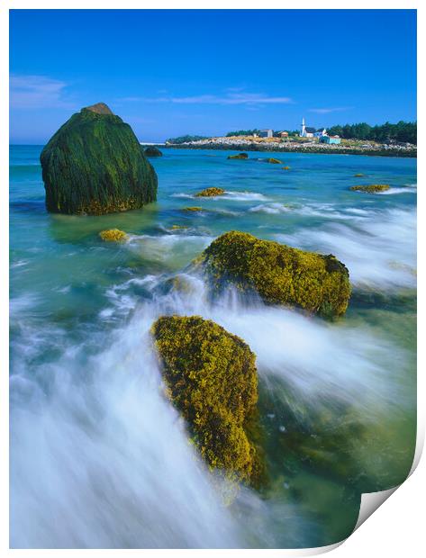 low tide on Seal Island  Print by Dave Reede