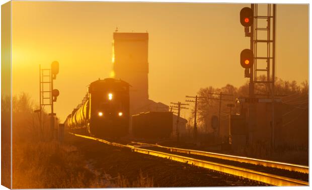 train passing a grain elevator Canvas Print by Dave Reede