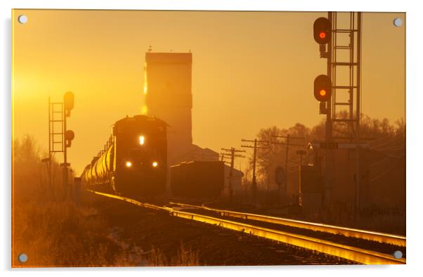 train passing a grain elevator Acrylic by Dave Reede