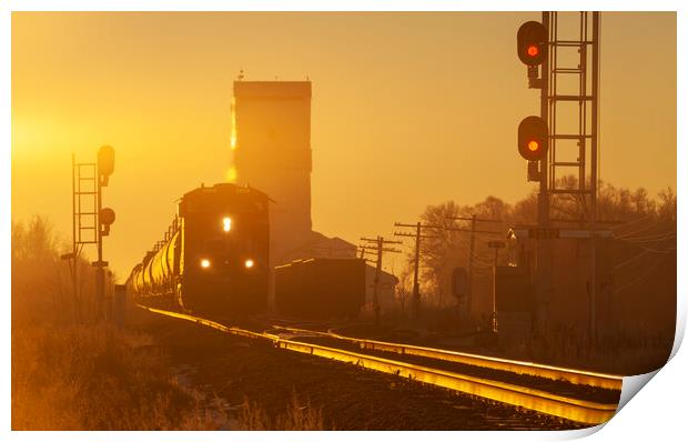 train passing a grain elevator Print by Dave Reede