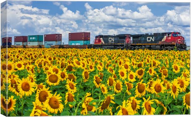locomotives pulling containers pass a sunflower field Canvas Print by Dave Reede