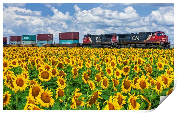 locomotives pulling containers pass a sunflower field Print by Dave Reede
