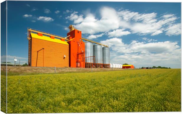 flax field and grain elevator Canvas Print by Dave Reede