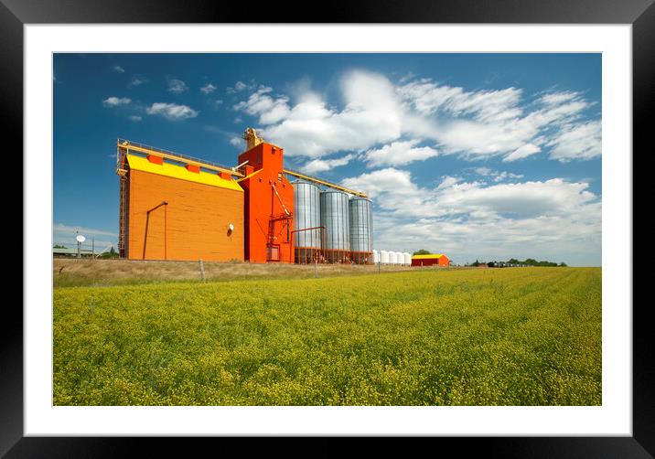 flax field and grain elevator Framed Mounted Print by Dave Reede