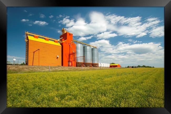 flax field and grain elevator Framed Print by Dave Reede