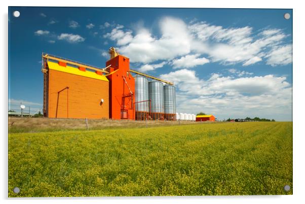 flax field and grain elevator Acrylic by Dave Reede