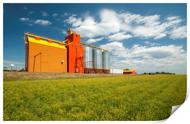 flax field and grain elevator Print by Dave Reede