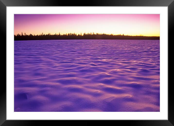 winter, Birds Hill Provincial Park Framed Mounted Print by Dave Reede