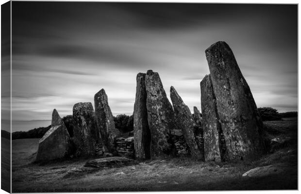 Cairnholy I Canvas Print by Dave Bowman