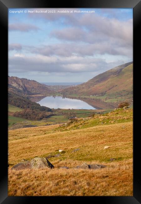 Llyn Cwellyn lake in Snowdonia Framed Print by Pearl Bucknall