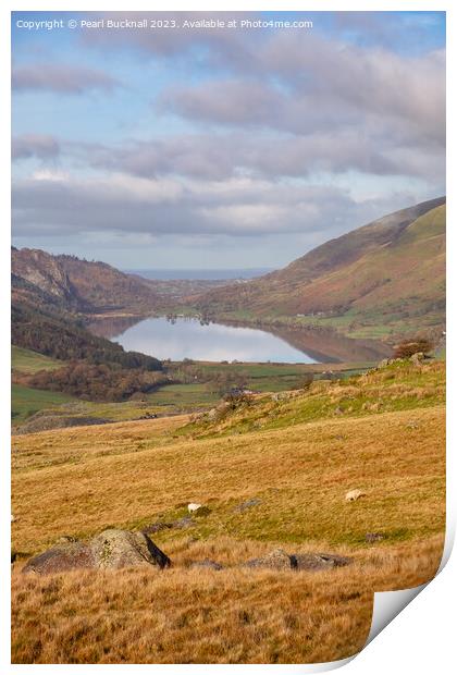 Llyn Cwellyn lake in Snowdonia Print by Pearl Bucknall