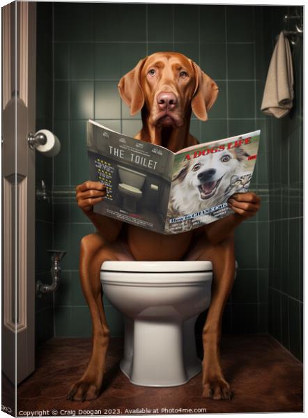 Vizsla Dog on the Toilet Canvas Print by Craig Doogan