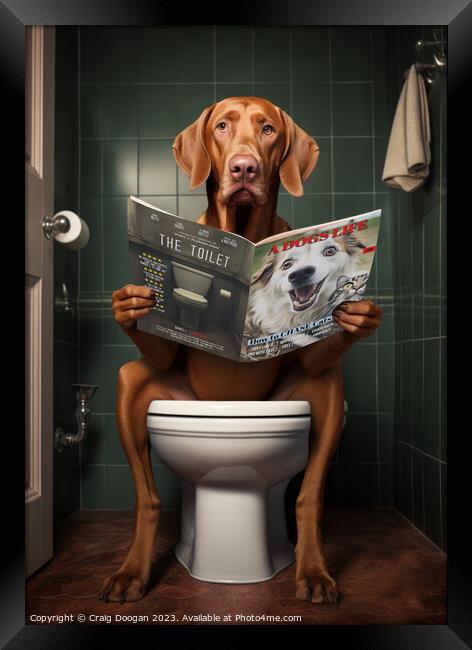 Vizsla Dog on the Toilet Framed Print by Craig Doogan