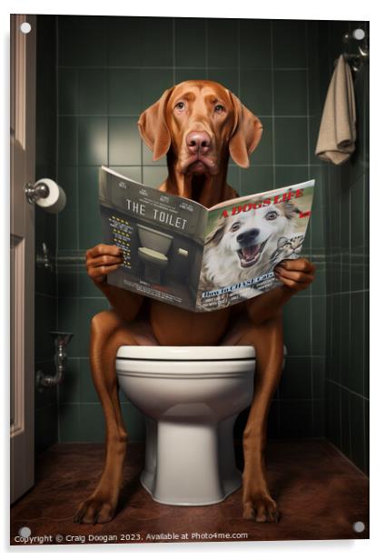 Vizsla Dog on the Toilet Acrylic by Craig Doogan