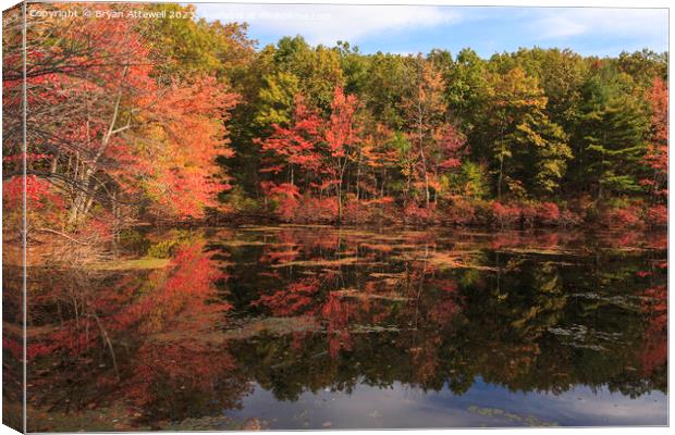 Autumn leaves reflected in Walden Pond Canvas Print by Bryan Attewell