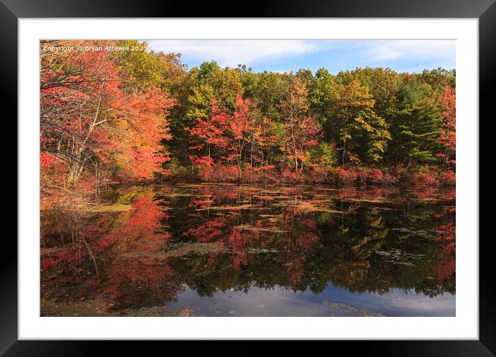 Autumn leaves reflected in Walden Pond Framed Mounted Print by Bryan Attewell