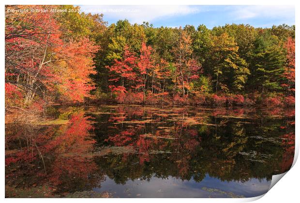 Autumn leaves reflected in Walden Pond Print by Bryan Attewell