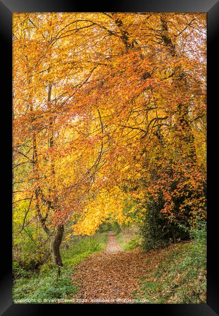 Autumn colours in Backhouse Park Framed Print by Bryan Attewell