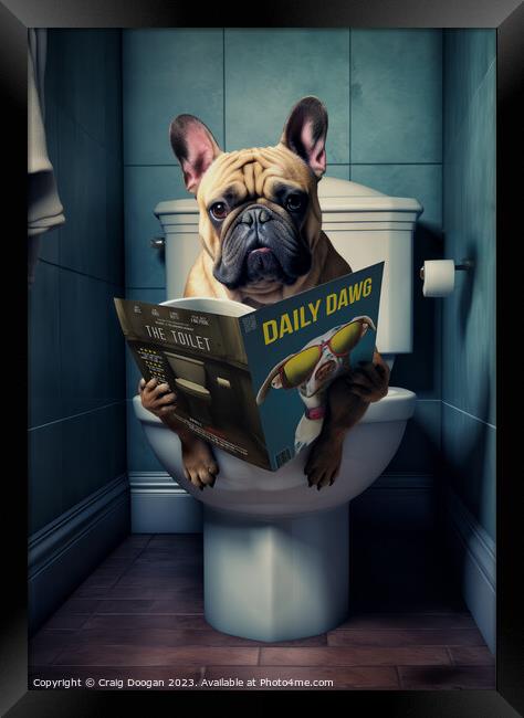 Funny French Bulldog on the Loo Framed Print by Craig Doogan